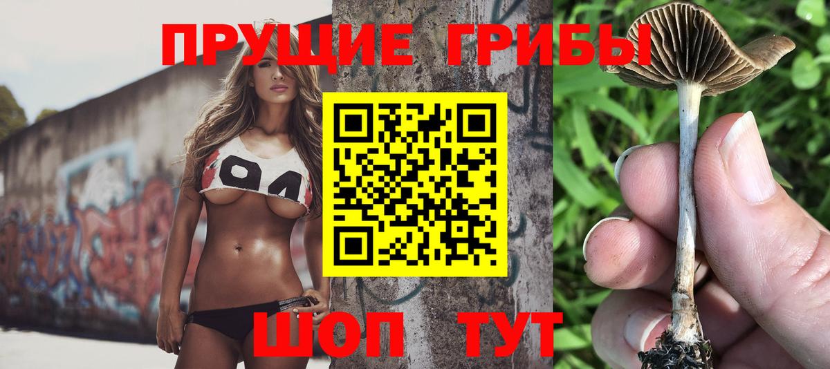 Псилоцибиновые грибы прущие грибы Сертолово
